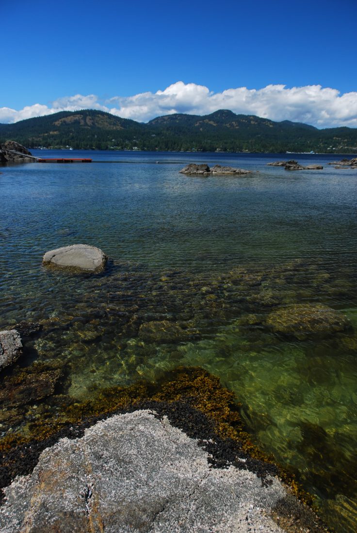 Calm clear water and forested hills of Sooke Basin, East Sooke