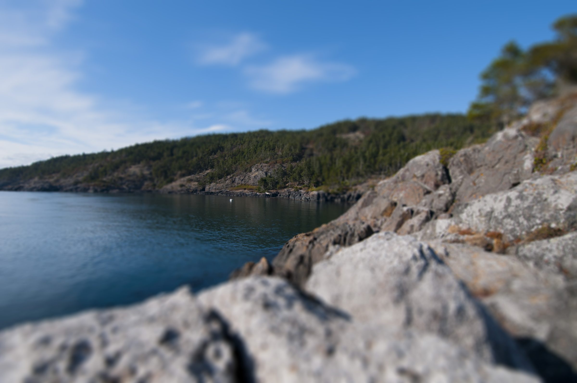 Rugged rocky shoreline and clear cove water near Beechey Head, East Sooke