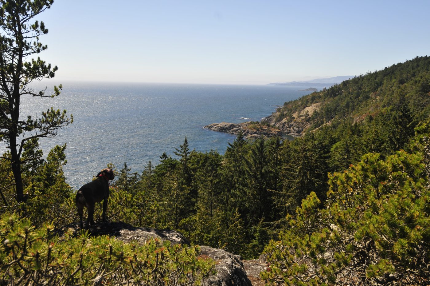 The rugged East Sooke Coast Trail along the shoreline